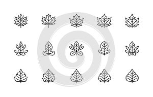 Leaf linear icons vector set. Nature symbols. Philodendron, maple, birch. Leaf linear icons on white background