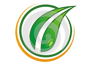 Leaf logo