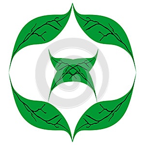 Leaf Logo.