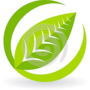 Leaf logo