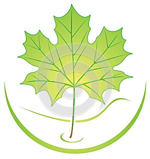 Leaf logo