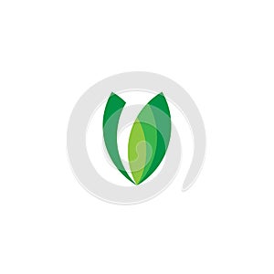 Leaf logo, describes a logo formed from green leaves photo