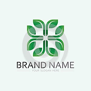 leaf logo design vector for nature symbol template editable,Green leaf logo ecology nature element vector icon