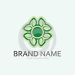 leaf logo design vector for nature symbol template editable,Green leaf logo ecology nature element vector icon