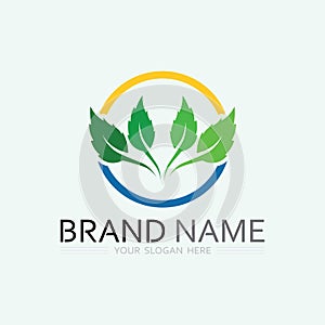 leaf logo design vector for nature symbol template editable,Green leaf logo ecology nature element vector icon