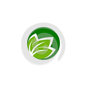 Leaf logo design vectors for spa and esthetics photo