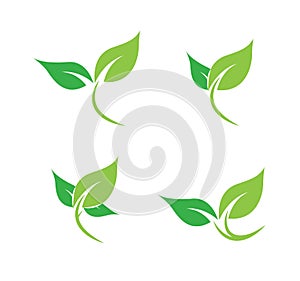 Leaf Logo set of vectors