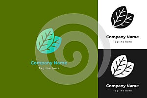 Leaf logo vector. Nature symbol. Herbal icon modern sign. Go green illustration.