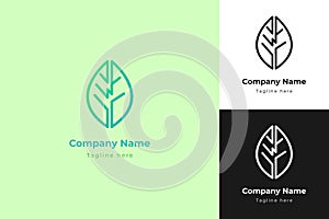 Leaf logo vector. Nature symbol. Herbal icon modern sign. Go green illustration.