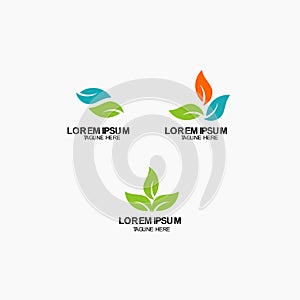 Leaf Logo Vector Template Design Illustration