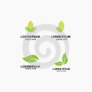 Leaf Logo Vector Template Design Illustration