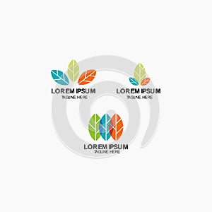 Leaf Logo Vector Template Design Illustration
