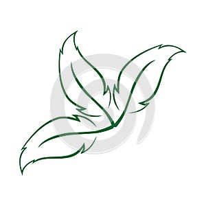 leaf logo vector template ilustrator and icon design