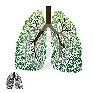 Leaf Lung