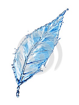 Leaf made of water splash