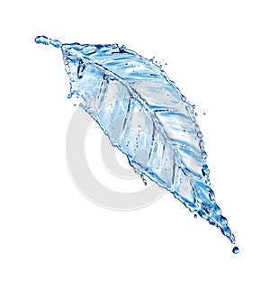 Leaf made of water splash