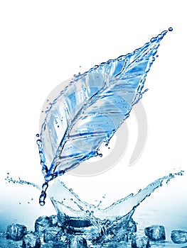 Leaf made of water splash