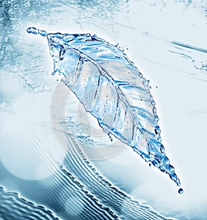 Leaf made of water splash