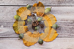 Leaf mandala with fall colors and foliage