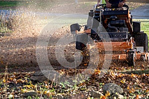 leaf mulching in a fall yard