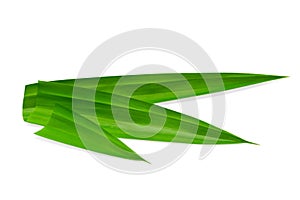 Leaf Pandan isolated on white background ,Green leaves pattern  ,include clipping path