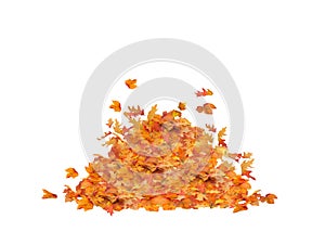 Leaf Pile Isolated