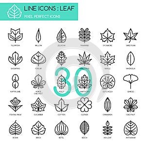Leaf , pixel perfect icon