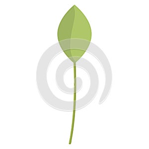 Leaf plant ecology icon