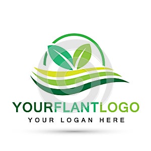 Leaf plant globe logo ecology water waves wellness green leaves nature people symbol icon vector designs on white background