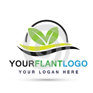 Leaf plant globe logo ecology water waves wellness green leaves nature people symbol icon vector designs on white background