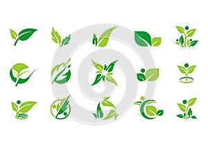 Leaf, plant, logo, ecology, people, wellness, green, leaves, nature symbol icon set of vector designs photo