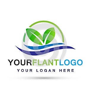 Leaf plant logo ecology sea waves wellness green leaves nature people symbol icon vector designs on white background