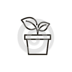 Leaf, plant, sprout growing in a pot. Vector thin line outline icon illustration