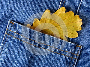 Leaf in pocket