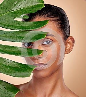 Leaf, portrait and beauty with indian woman with plant or cosmetic in studio background for glow. Leaves, face and girl