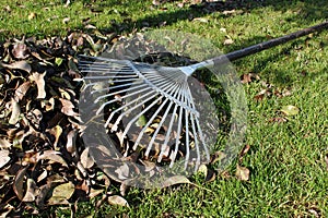 Leaf rake