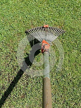 A leaf rake in the garden on the grass with shadow