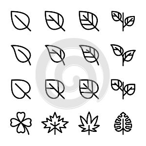 Leaf Related Vector Icons