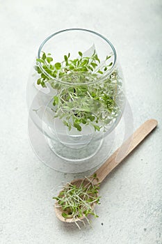 Leaf salad from sprouts of micro greens in a glass goblet