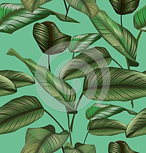 Leaf seamless pattern