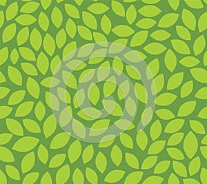 Leaf seamless pattern vector plant background. Nature flat leaf herb green soft vine pattern
