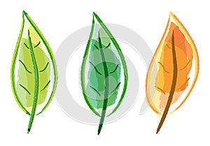 Leaf set