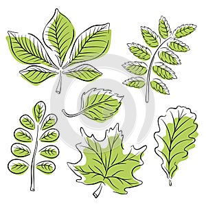 Leaf set in line art style. Minimalist simple plant design of tree leaves. Nature logo hand drawn design. Vector