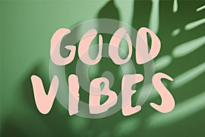 Leaf shadow on green background with