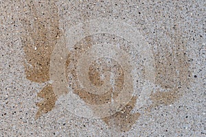 Leaf shaped imprint stains on concrete background