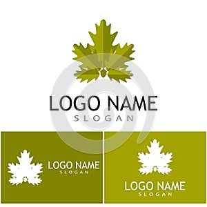 Leaf and Shutter Lens Aperture for Nature Photographer logo design inspiration