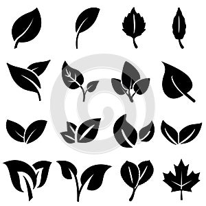 Leaf silhouette black set, decoration element design. Natural spring decoration. Vector leaf icon on white background