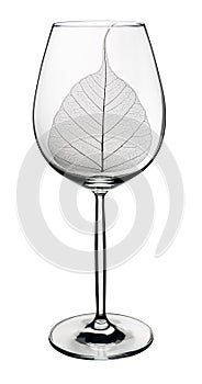 Leaf skeleton in glass