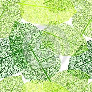 Leaf skeletons seamless vector background