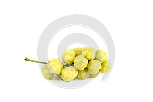 Leaf Star gooseberry white background in studio